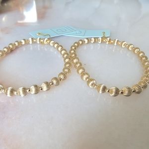 2-dignity grateful pattern-e newton